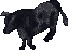 A bull.png