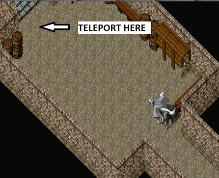 Teleport to avoid hidden walls.png