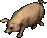 A boar.png