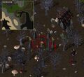 Thumbnail for version as of 16:13, 30 September 2026