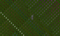 Thumbnail for version as of 00:21, 27 May 2021