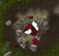 Thumbnail for version as of 11:32, 20 September 2025